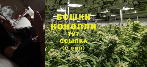 шишки Зеленодольск