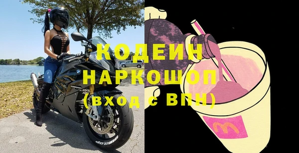 гидра Заводоуковск