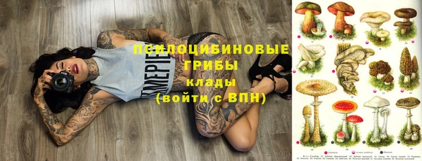 шишки Зеленодольск