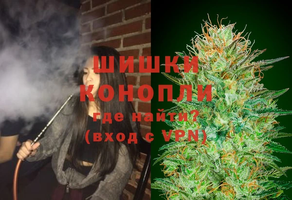 шишки Зеленодольск