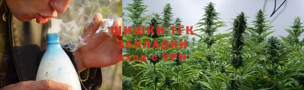 шишки Зеленодольск
